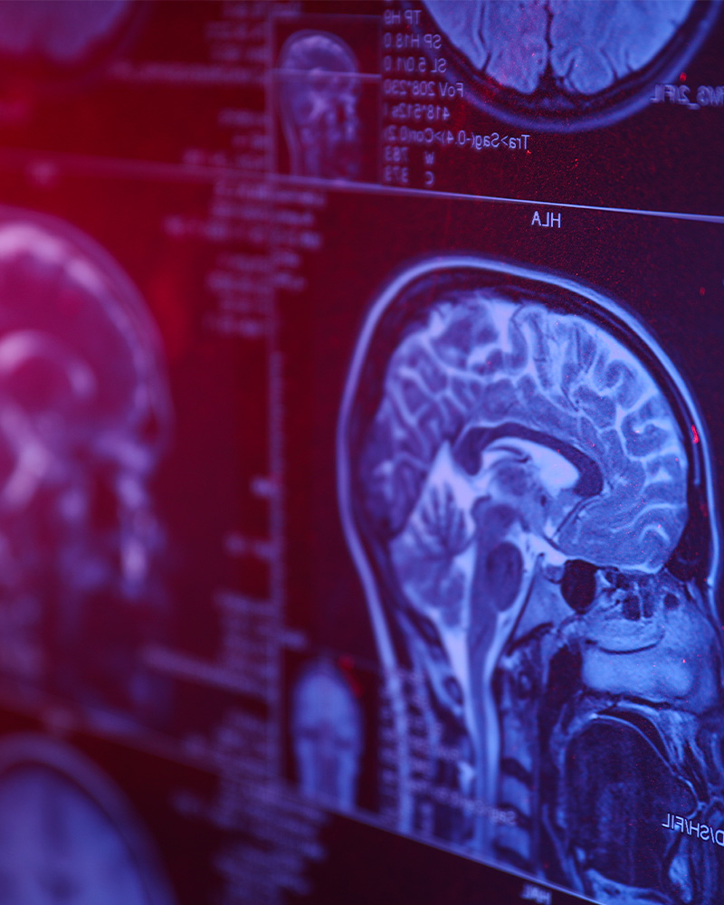 Doctor reviewing patient records