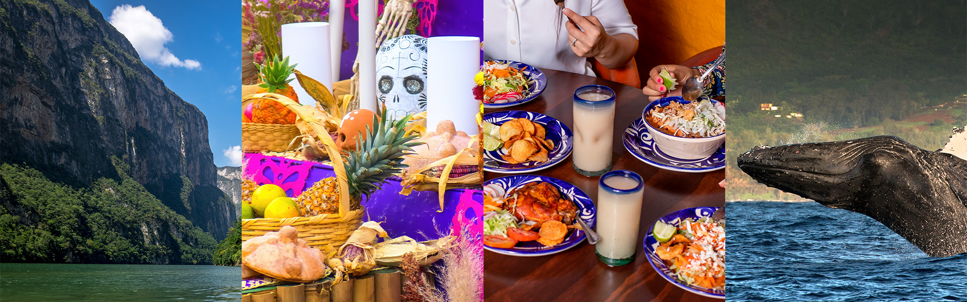 Guadalajara cityscape – birthplace of mariachi and tequila